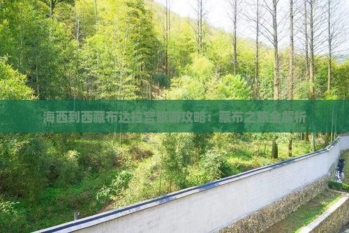 海西去西藏布达拉宫大型旅游团