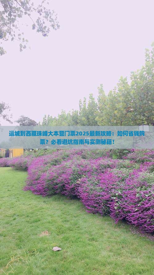 运城到西藏珠峰大本营门票