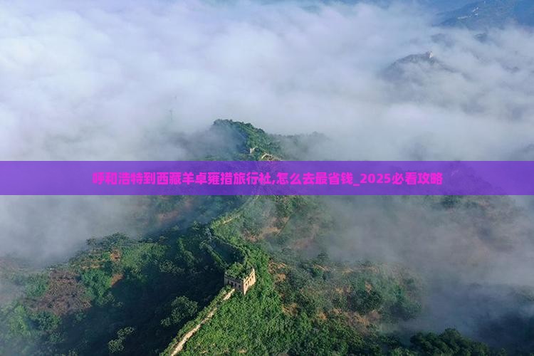 呼和浩特到西藏羊卓雍措旅行社