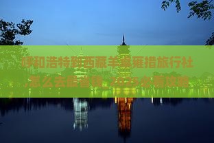 呼和浩特到西藏羊卓雍措旅行社