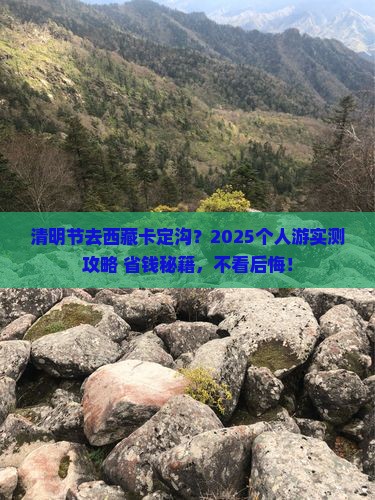 清明节到西藏卡定沟个人游