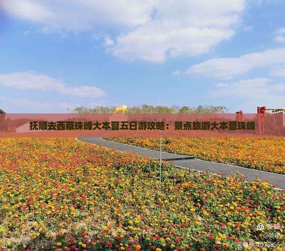 抚顺去西藏珠峰大本营五日游
