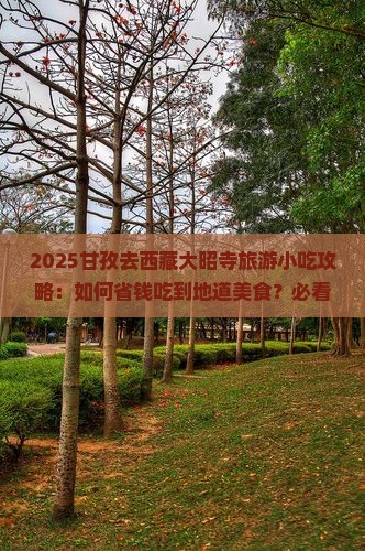 甘孜去西藏大昭寺旅游小吃