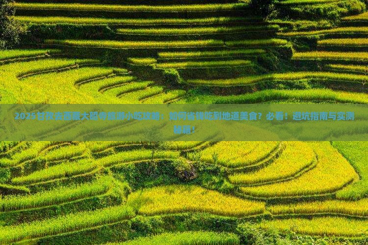 甘孜去西藏大昭寺旅游小吃