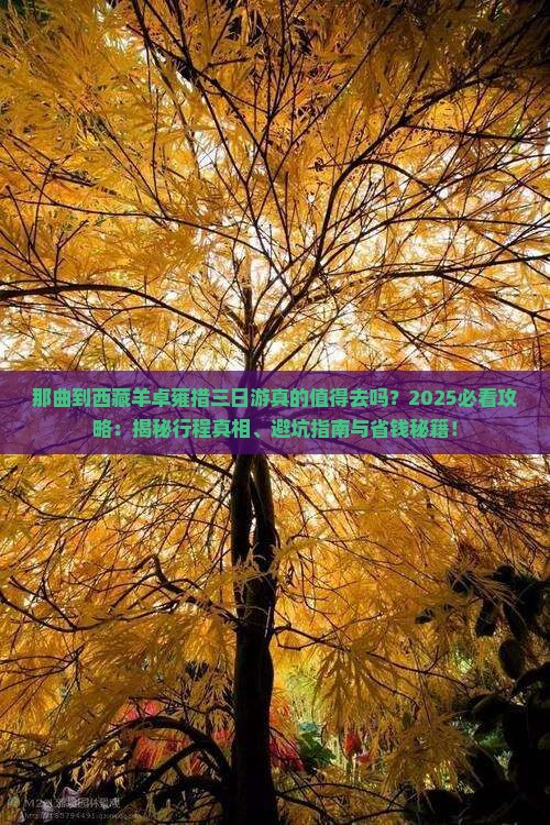 那曲到西藏羊卓雍措三日游