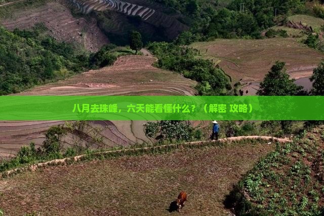 八月到西藏珠峰大本营六日游