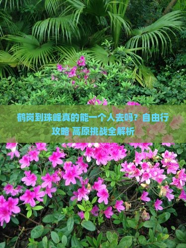 鹤岗到西藏珠峰大本营个人游