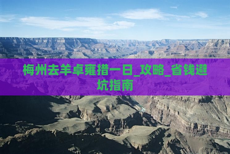 梅州去西藏羊卓雍措一日