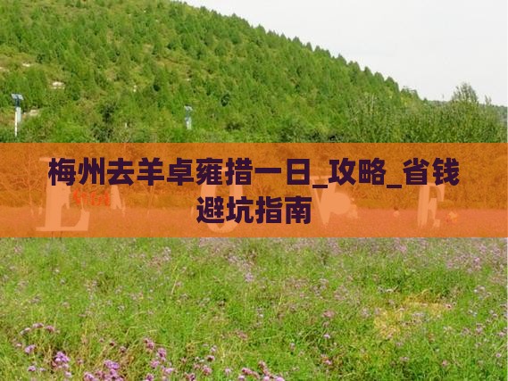 梅州去西藏羊卓雍措一日