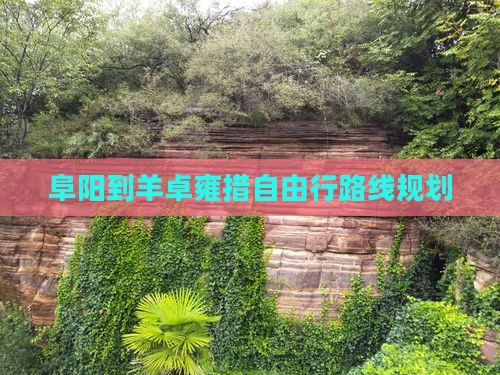 阜阳到西藏羊卓雍措自由行