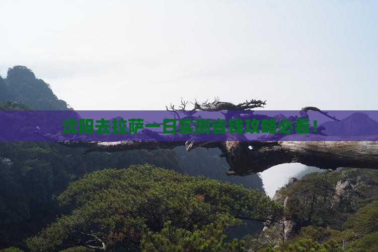 沈阳去西藏拉萨一日