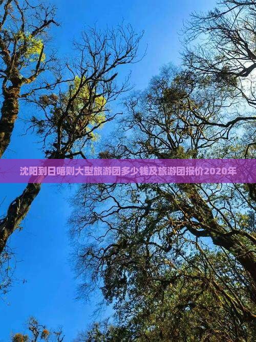 沈阳到西藏日喀则大型旅游团