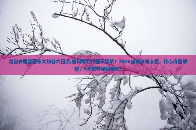 龙岩去西藏雅鲁藏布大峡谷六日游