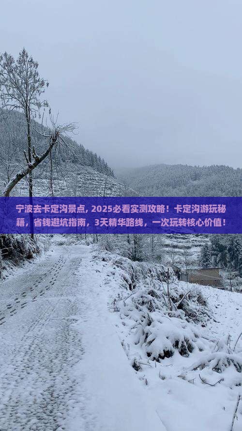宁波去西藏卡定沟景点