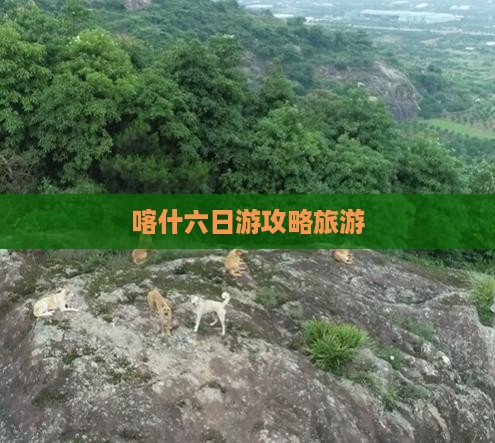 喀什去西藏六日游