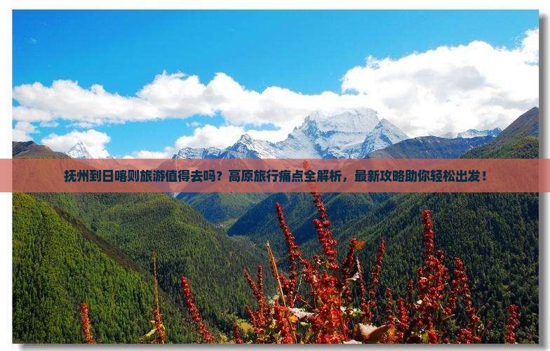 抚州到西藏日喀则旅游