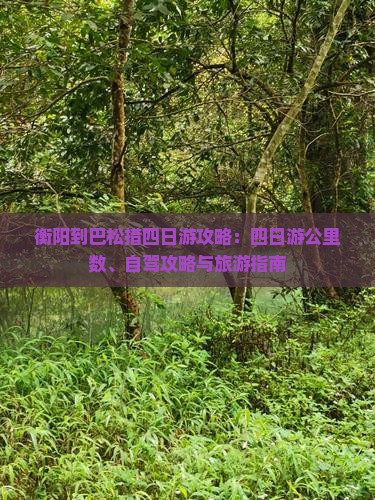 衡阳到西藏巴松措四日游
