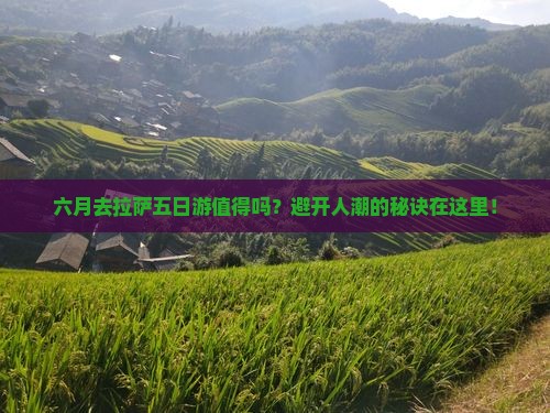 六月到西藏拉萨五日游