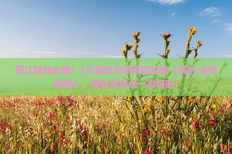 阳江去西藏羊卓雍措攻略