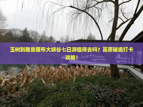 玉树到西藏雅鲁藏布大峡谷七日游
