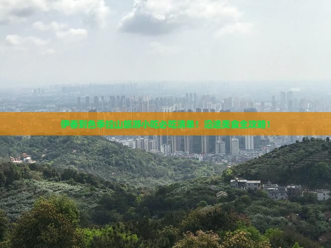 伊春到西藏色季拉山旅游小吃