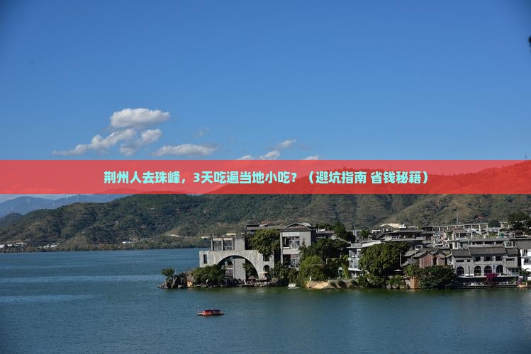 荆州去西藏珠峰大本营旅游小吃
