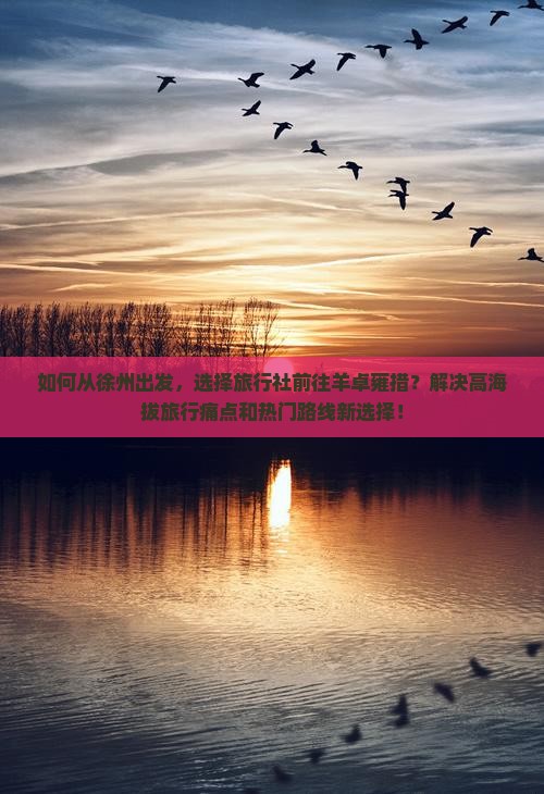 如何从徐州出发，选择旅行社前往羊卓雍措？解决高海拔旅行痛点和热门路线新选择！