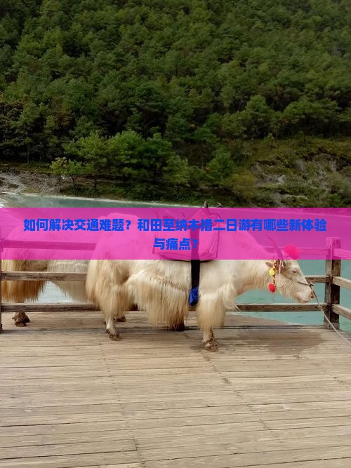 如何解决交通难题？和田至纳木措二日游有哪些新体验与痛点？