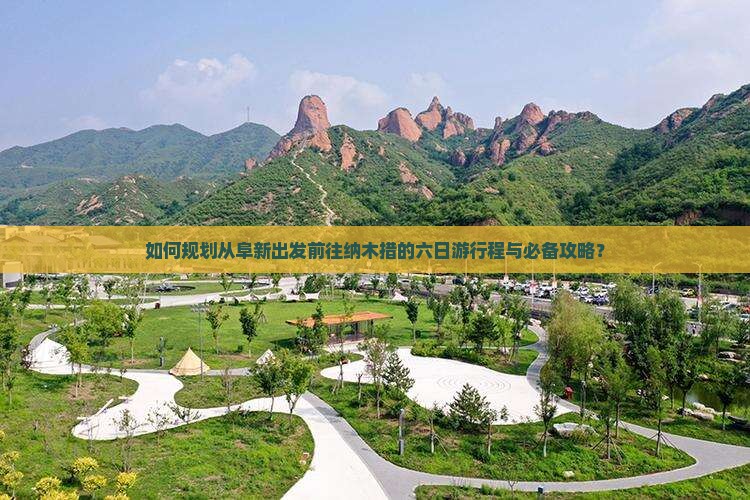 如何规划从阜新出发前往纳木措的六日游行程与必备攻略？