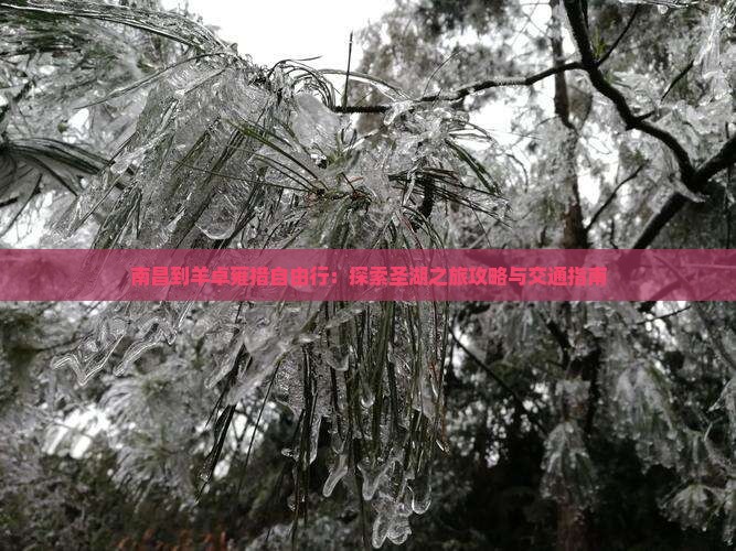 南昌到羊卓雍措自由行：探索圣湖之旅攻略与交通指南