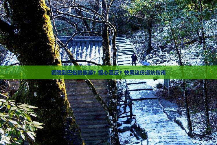 铜陵到巴松措旅游？担心高反？快看这份避坑指南