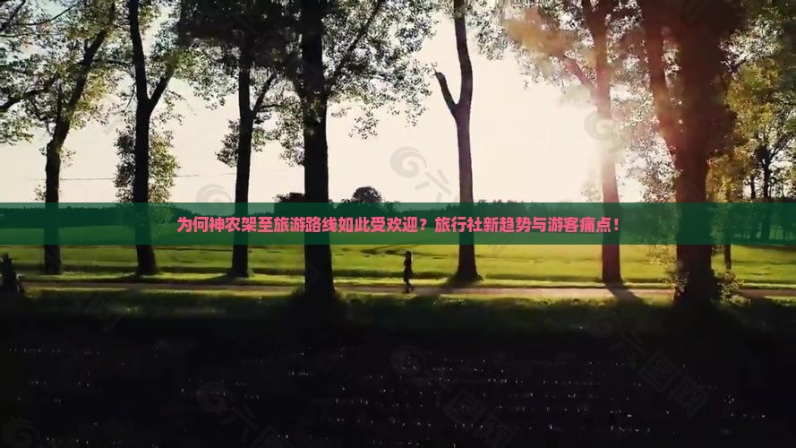 为何神农架至旅游路线如此受欢迎？旅行社新趋势与游客痛点！
