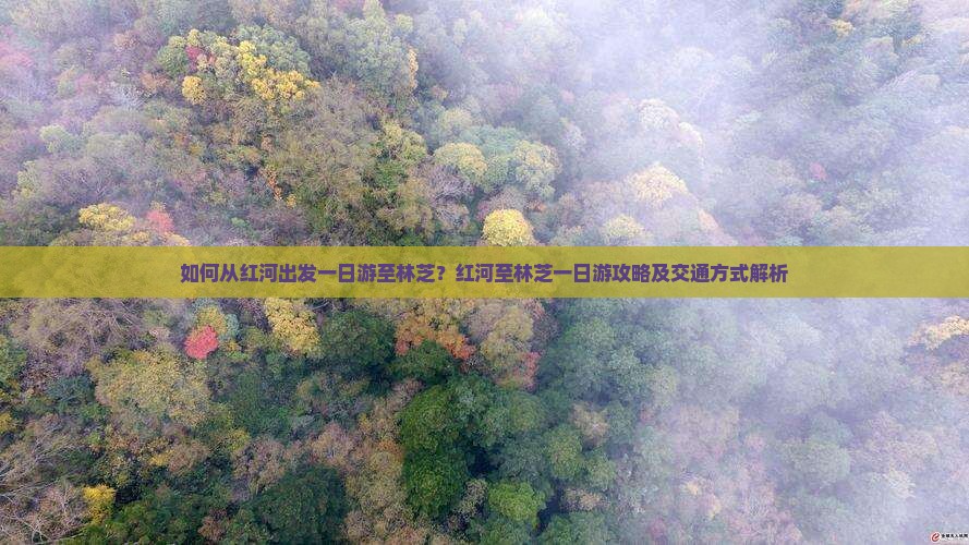 如何从红河出发一日游至林芝?红河至林芝一日游攻略及交通方式解析 如何从红河出发一日游至林芝?红河至林芝一日游攻略及交通方式解析
