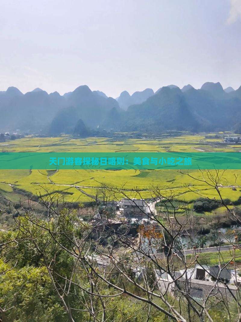 天门游客探秘日喀则：美食与小吃之旅