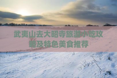 武夷山去大昭寺旅游小吃攻略及特色美食推荐