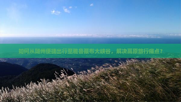 如何从随州便捷出行至雅鲁藏布大峡谷，解决高原旅行痛点？