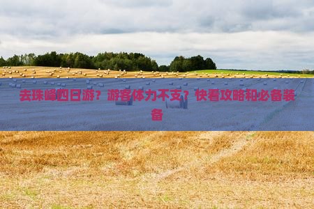 去珠峰四日游？游客体力不支？快看攻略和必备装备