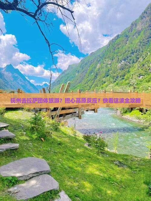 抚州去拉萨团体旅游？担心高原反应？快看这波全攻略