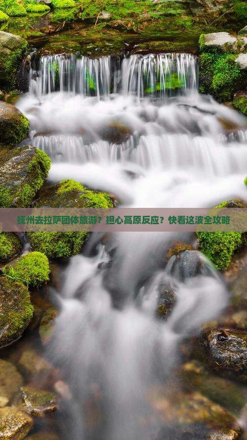 抚州去拉萨团体旅游？担心高原反应？快看这波全攻略