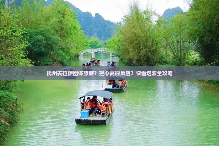 抚州去拉萨团体旅游？担心高原反应？快看这波全攻略