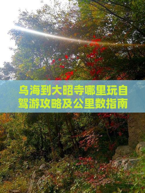 乌海到大昭寺哪里玩自驾游攻略及公里数指南