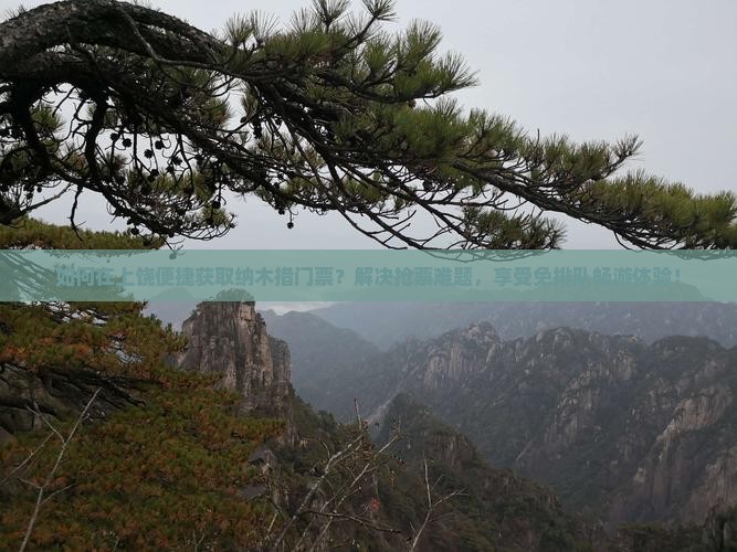 如何在上饶便捷获取纳木措门票？解决抢票难题，享受免排队畅游体验！