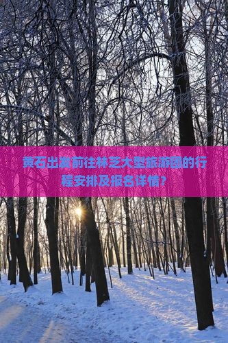 黄石出发前往林芝大型旅游团的行程安排及报名详情？