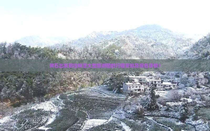 黄石出发前往林芝大型旅游团的行程安排及报名详情？