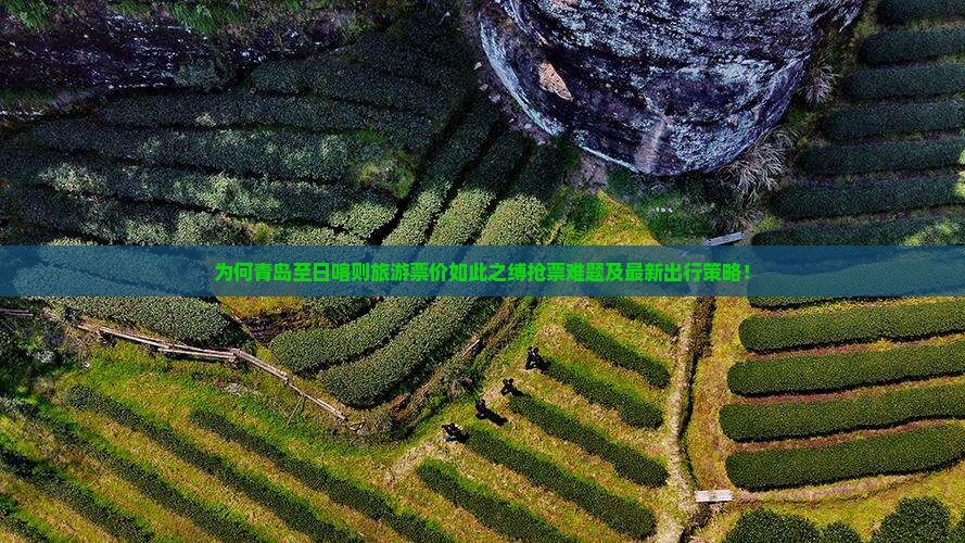 为何青岛至日喀则旅游票价如此之缚抢票难题及最新出行策略！