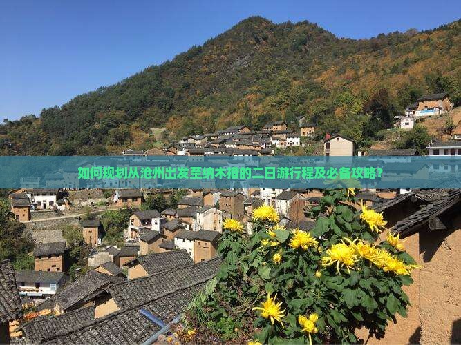 如何规划从沧州出发至纳木措的二日游行程及必备攻略？