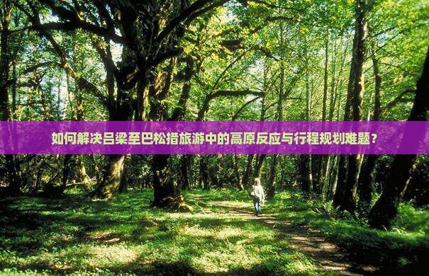 如何解决吕梁至巴松措旅游中的高原反应与行程规划难题？