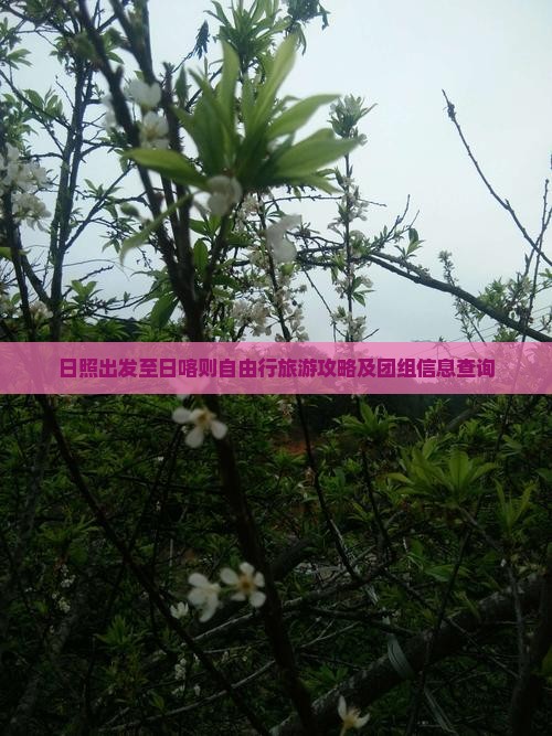 日照出发至日喀则自由行旅游攻略及团组信息查询