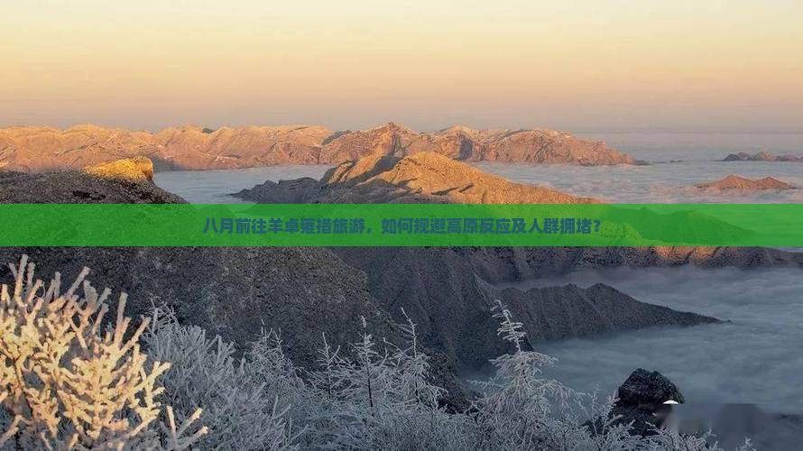 八月前往羊卓雍措旅游,如何规避高原反应及人群拥堵? 八月前往羊卓雍措旅游,如何规避高原反应及人群拥堵?