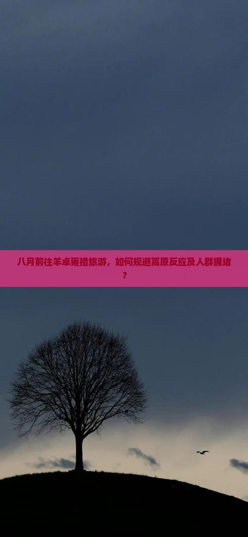 八月前往羊卓雍措旅游,如何规避高原反应及人群拥堵? 八月前往羊卓雍措旅游,如何规避高原反应及人群拥堵?